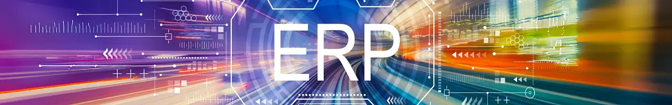 Bau ERP Software