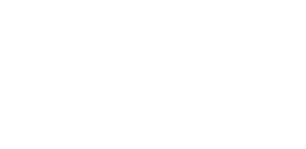 Microsoft Partner Logo l ISV